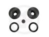 AUTOFREN SEINSA D3160 Repair Kit, wheel brake cylinder